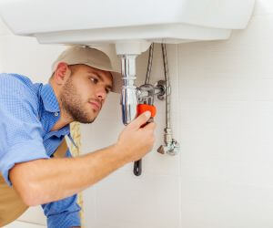 About Plumbers Pros Samaria, MI